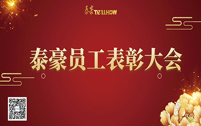 泰豪表彰 | 一路同行，“云”享慶典~